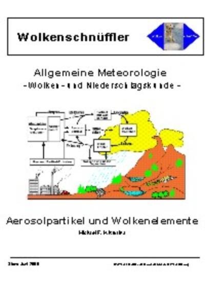 Luftbeimengungen, Entstehung von Wolkentröpfchen und Eiskristallen, Wechselwirkungen von Wolkenelementen